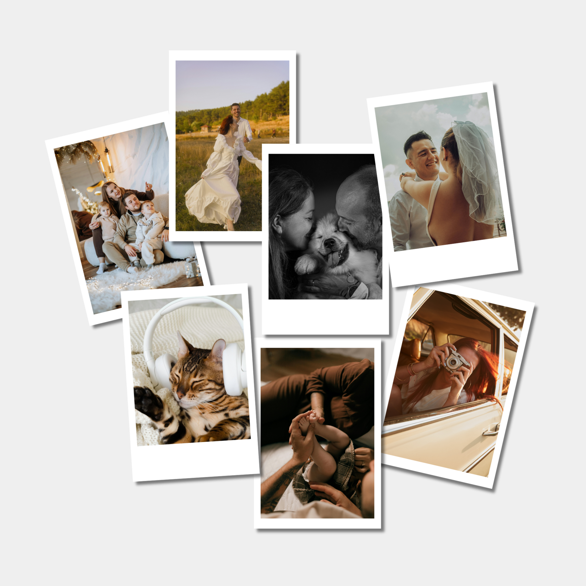 Collection of various photos on a white background